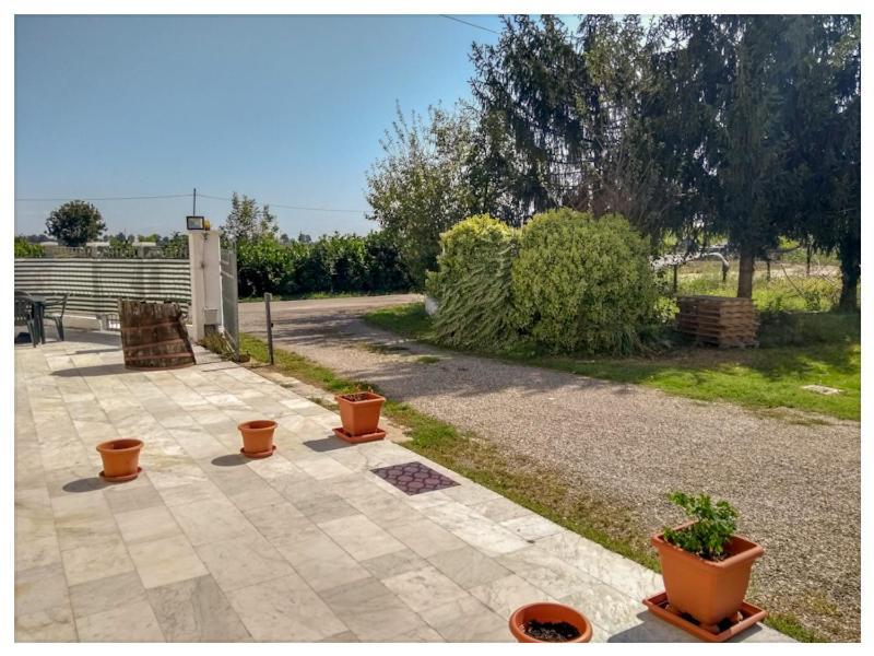 Elizabeth B&B Lentigione Buitenkant foto